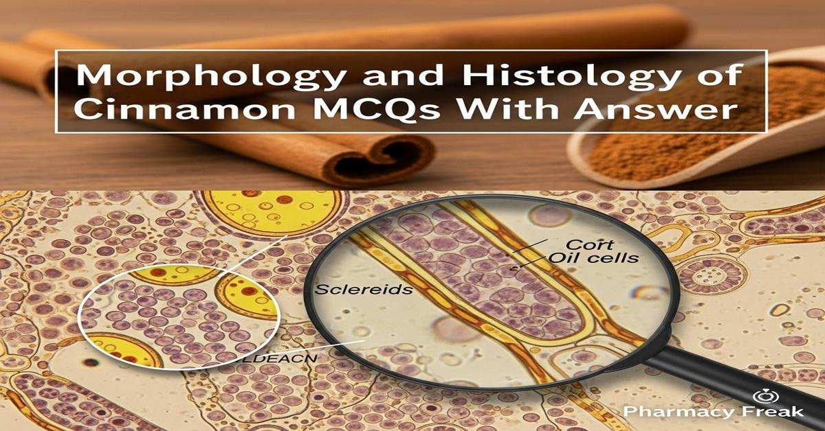 Morphology and histology of Cinnamon MCQs With Answer