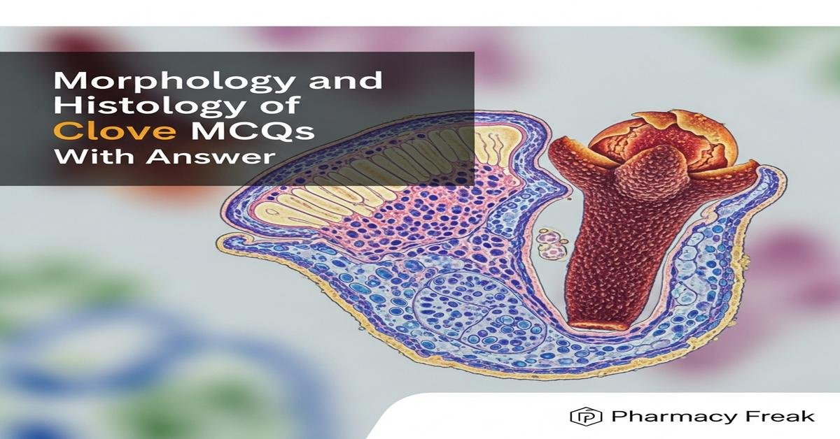Morphology and histology of Clove MCQs With Answer
