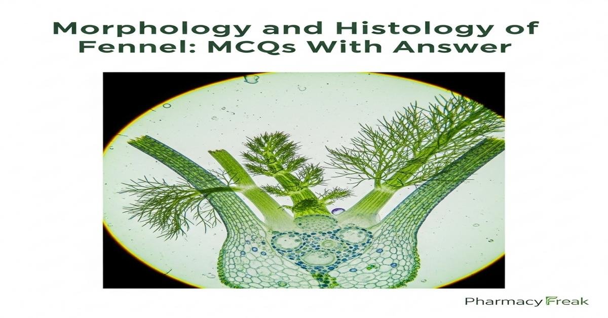 Morphology and histology of Fennel MCQs With Answer