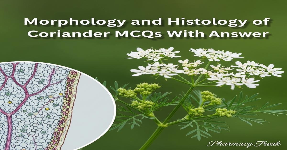 Morphology and histology of Coriander MCQs With Answer