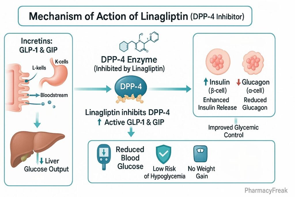 Mechanism of action of Linagliptin