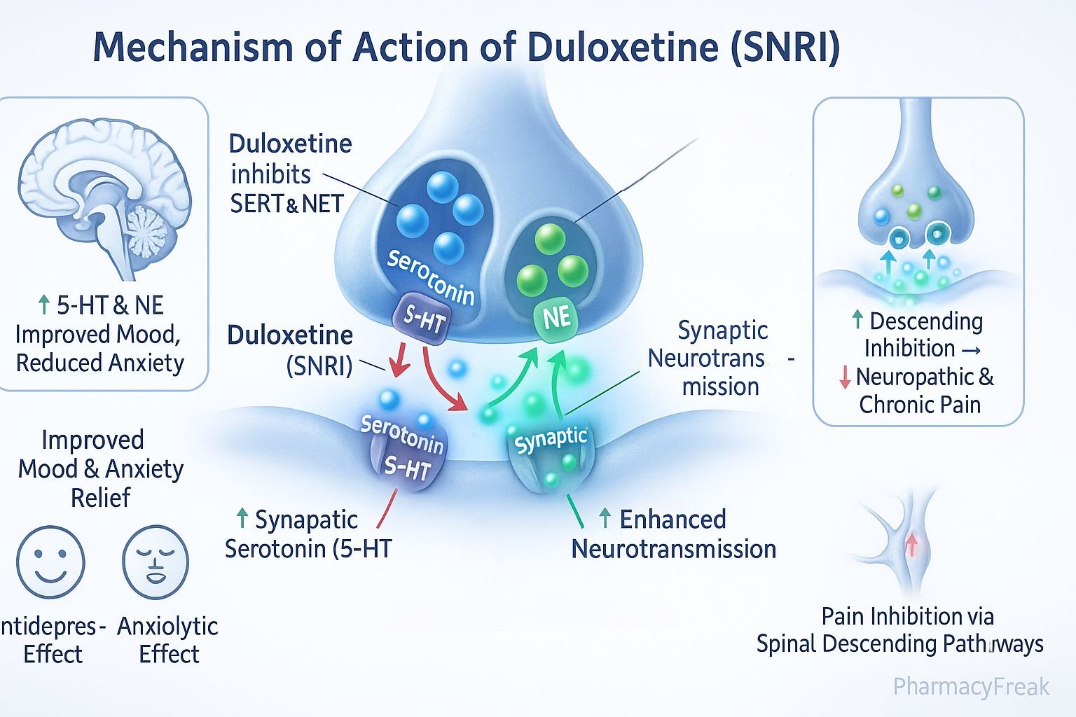MOA of Duloxetine