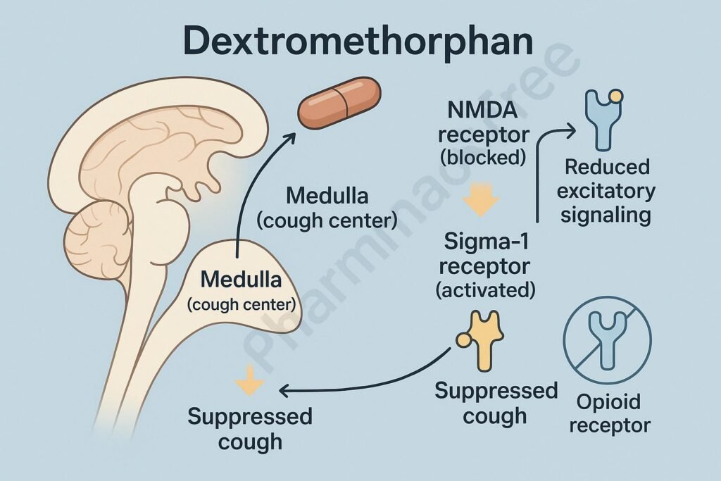 Mechanism of action of Dextromethorphan