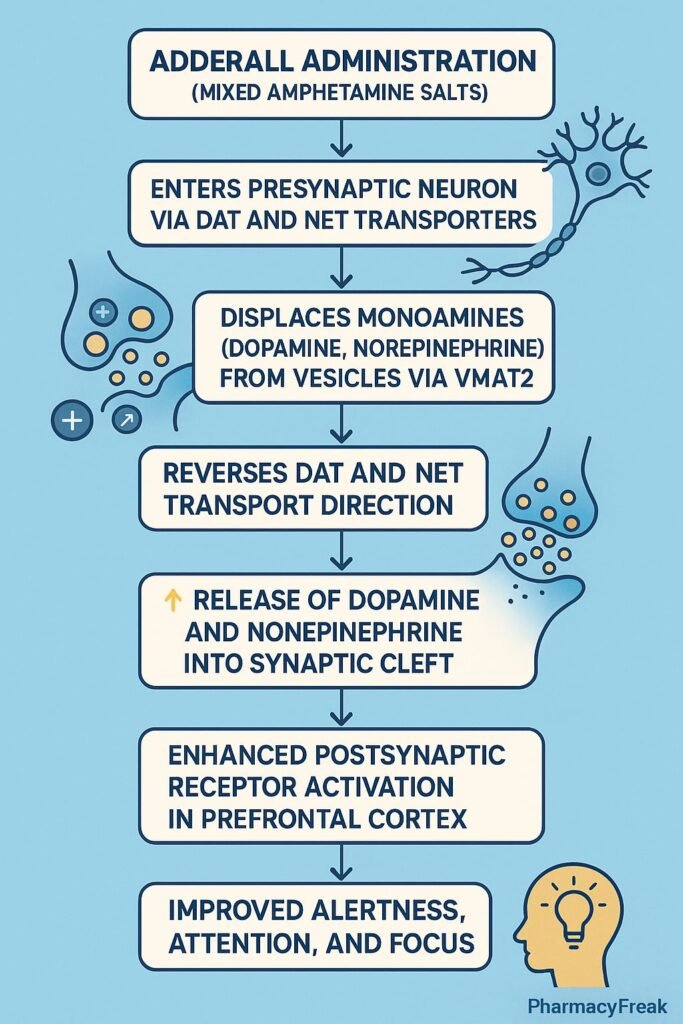 Adderall MOA Flowchart