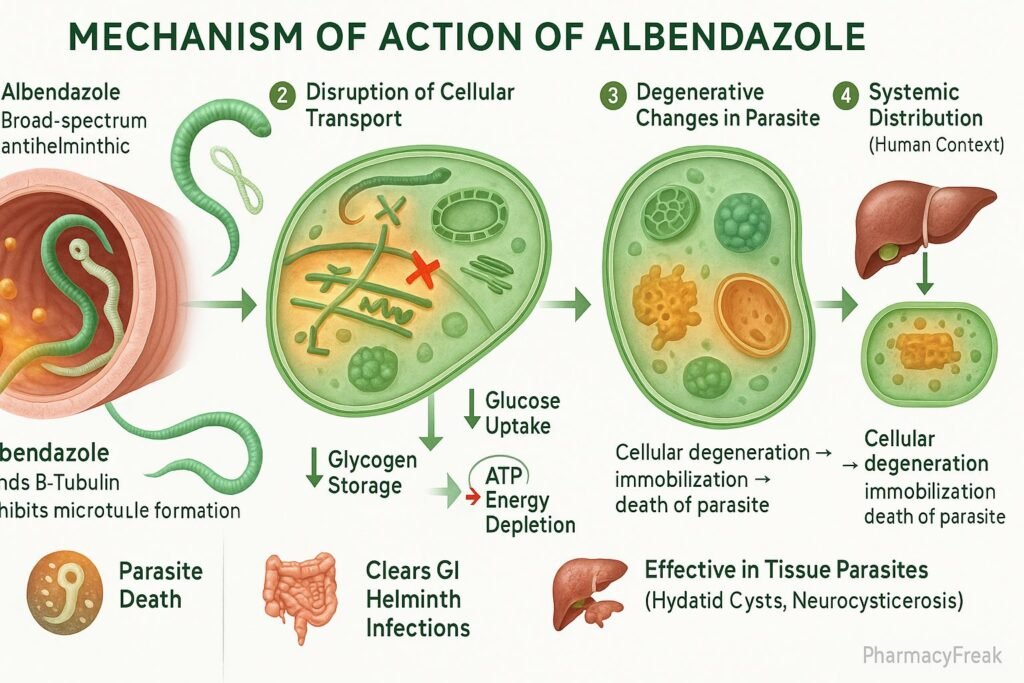 Albendazole pharmacology