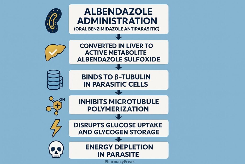 Albendazole MOA Flowchart