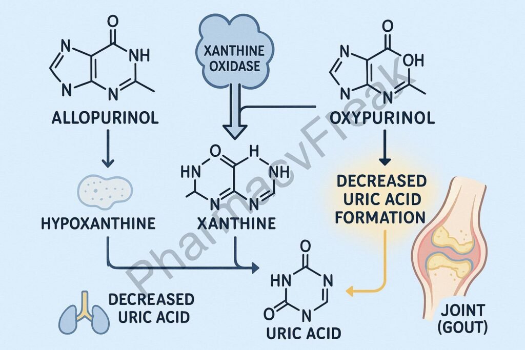 Mechanism of action of Allopurinol