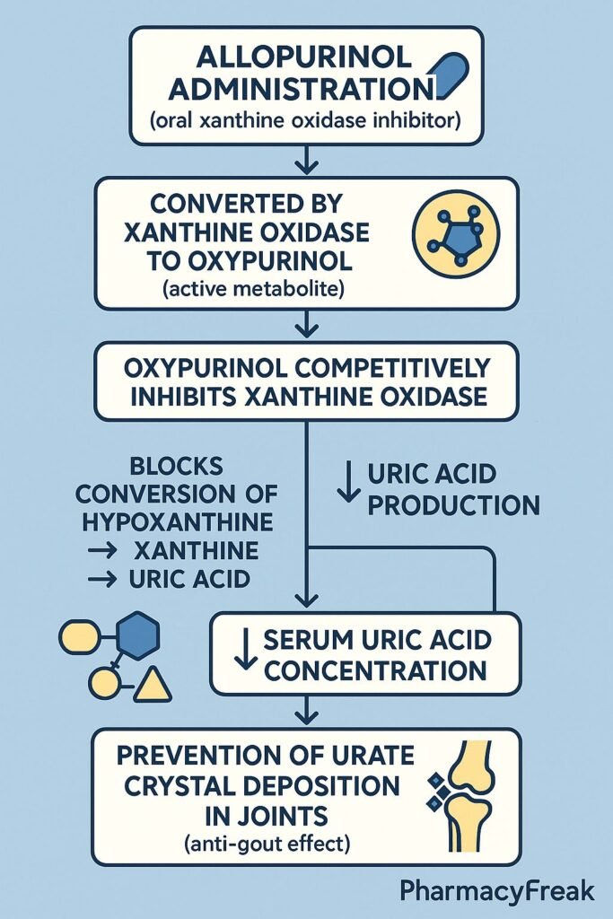 Stepwise mechanism of action of Allopurinol Flowchart