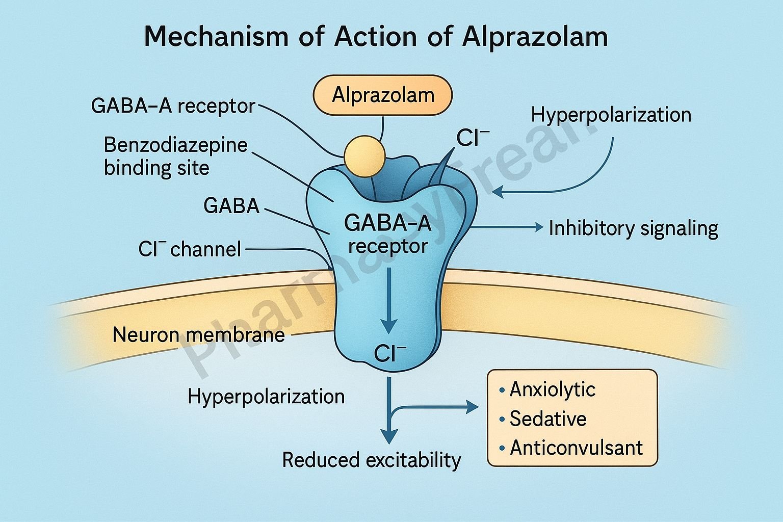 MOA of Alprazolam