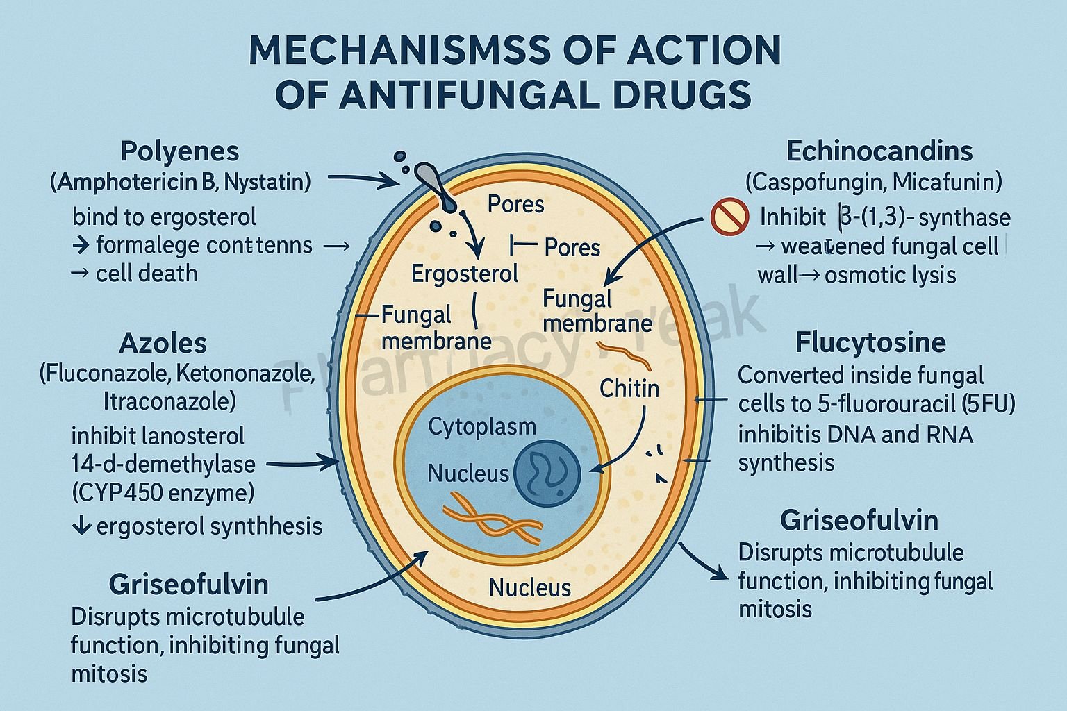 Pharmacology and clinical mechanisms of Antifungal Drugs