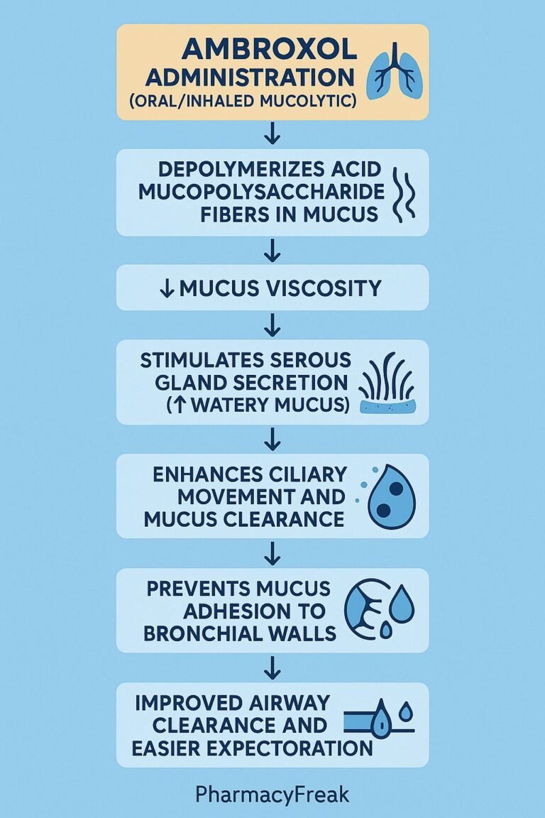 Mechanism of Action of Ambroxol
