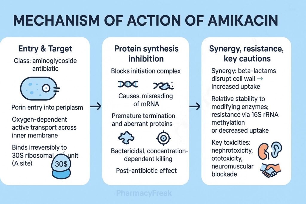 Amikacin pharmacology