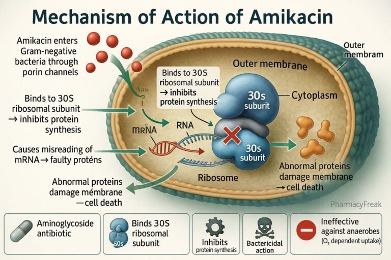 MOA of Amikacin