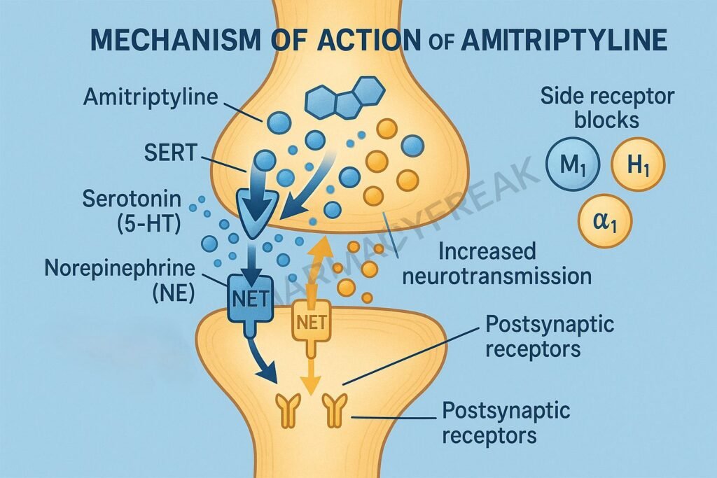Amitriptyline pharmacology