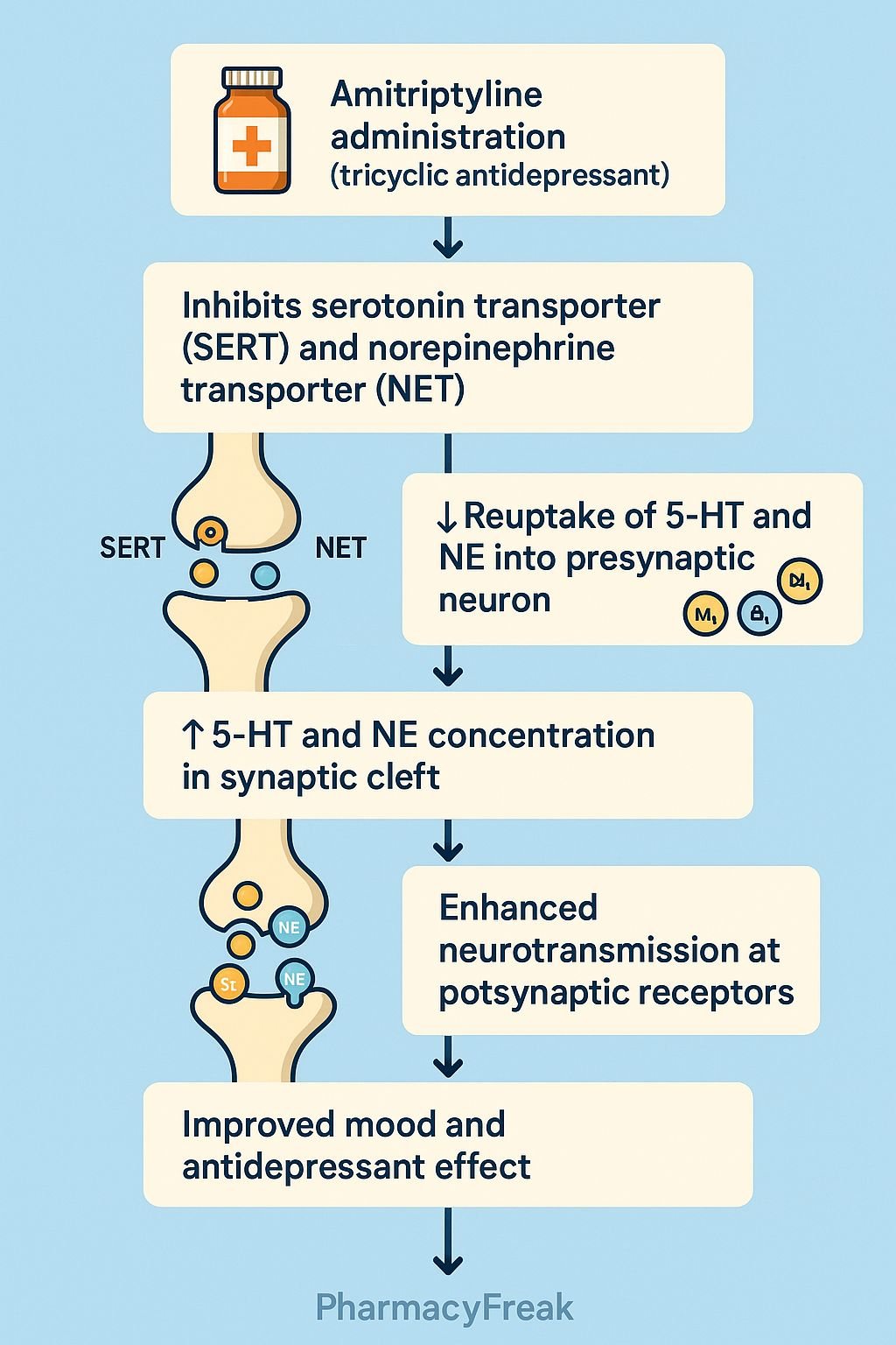 Mechanism of Action of Amitriptyline