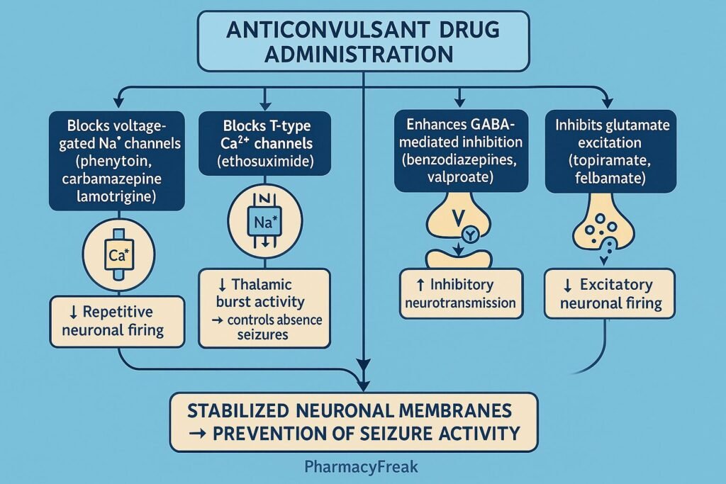 Anticonvulsant Drugs MOA Flowchart