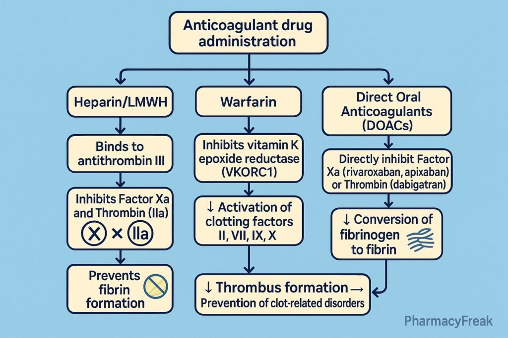 Anticoagulant Drugs MOA Flowchart
