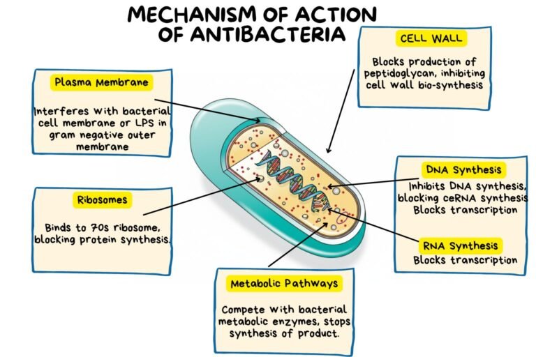 MOA of Antibacterial Drugs