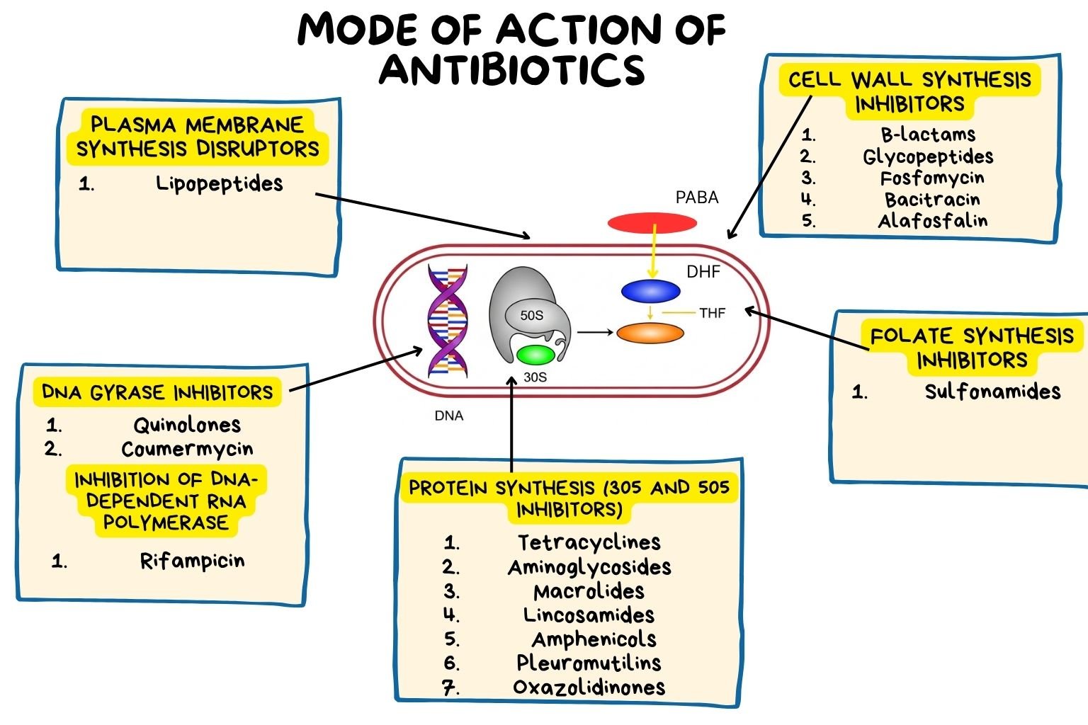 MOA of Antibiotics