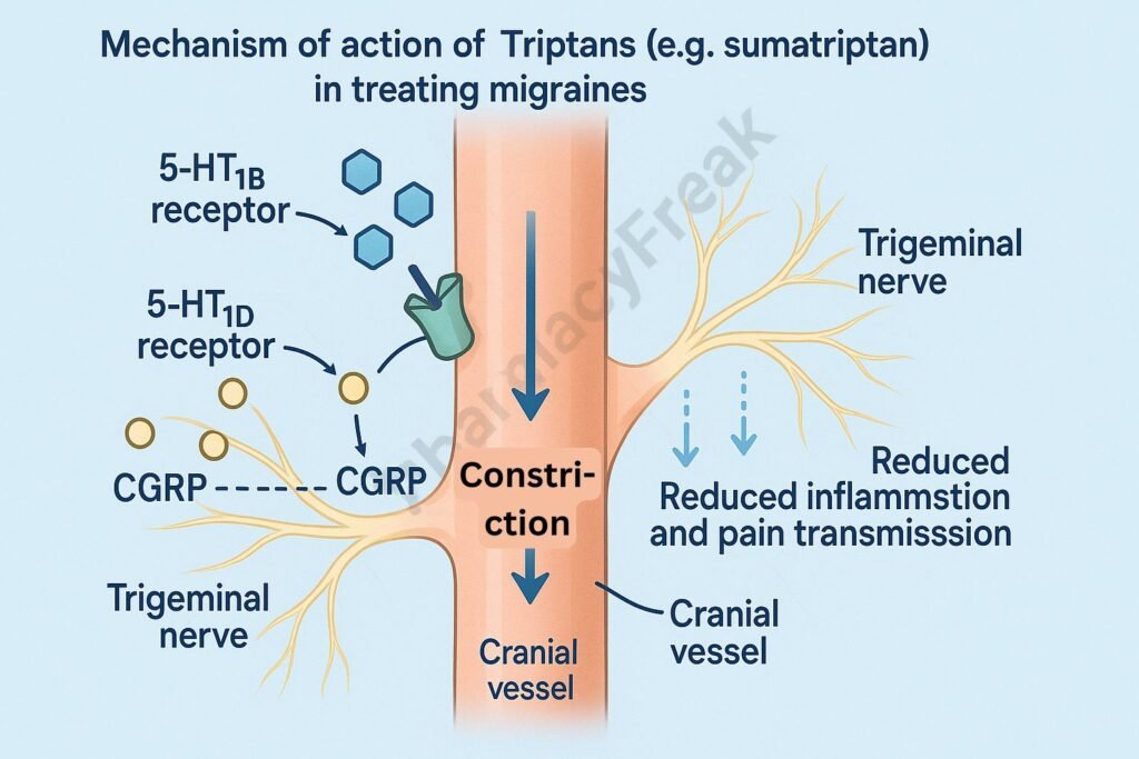 Triptans mechanism of action
