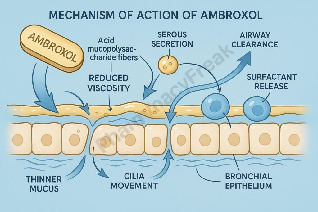Ambroxol clinical pharmacology