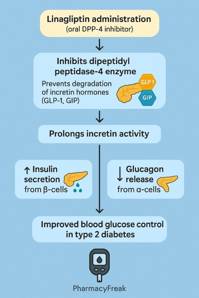 Linagliptin MOA Flowchart