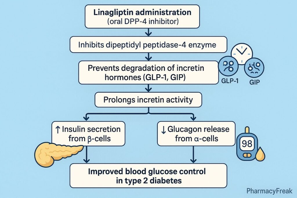 Stepwise mechanism of action of Linagliptin