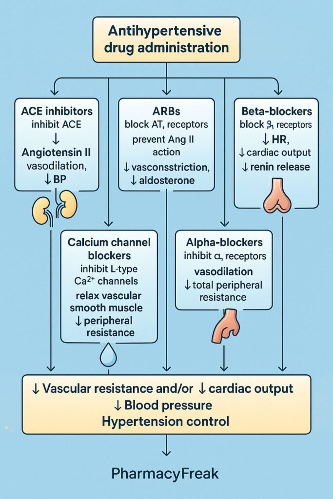 Stepwise mechanism of action of Antihypertensive Drugs