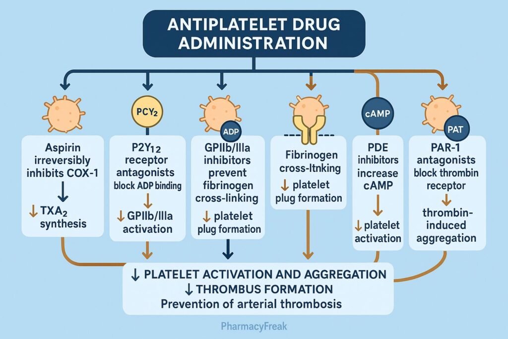 Stepwise mechanism of action of Antiplatelet Drugs