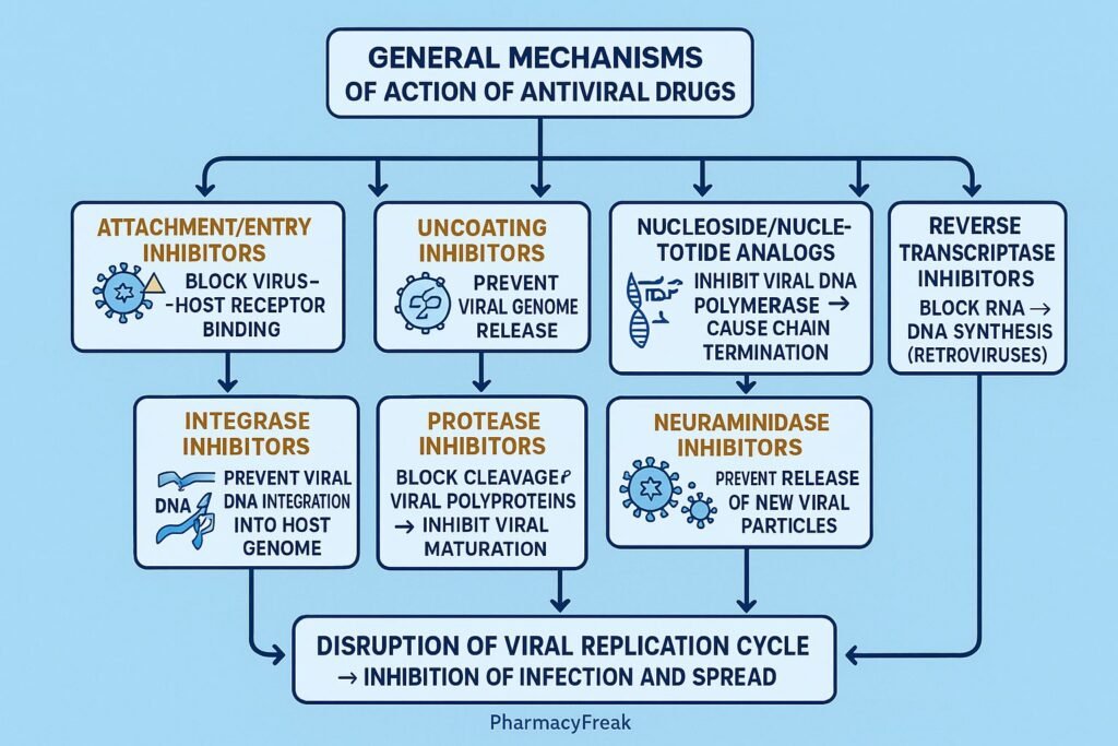 Stepwise mechanism of action of Antiviral Drugs
