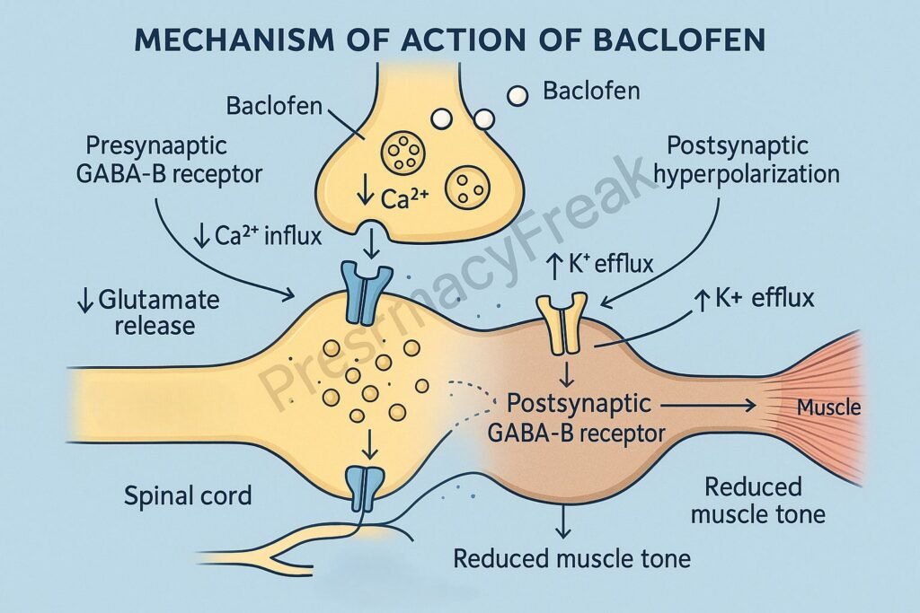 MOA of Baclofen