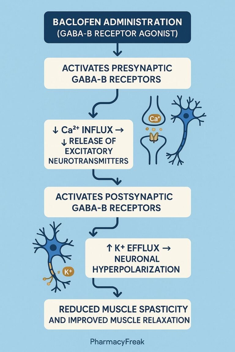 Mechanism Of Action Of Baclofen