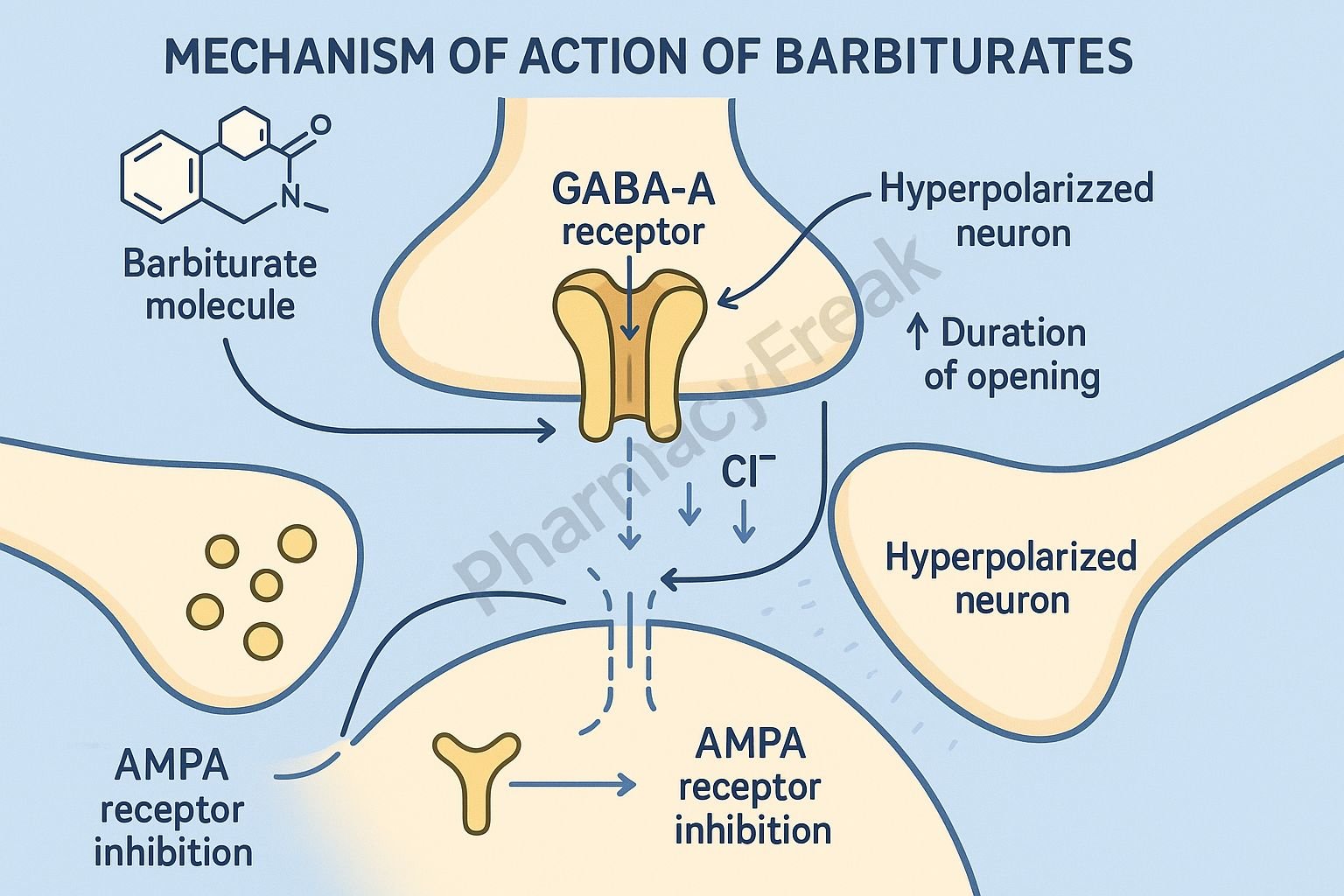 MOA of Barbiturates