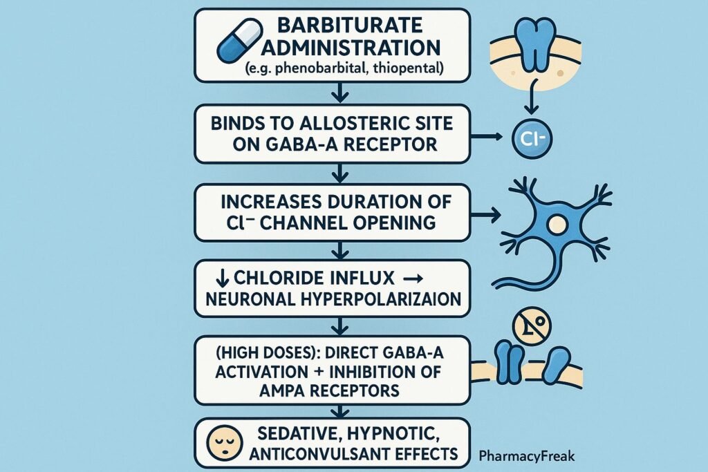 GABA receptor mechanism barbiturates