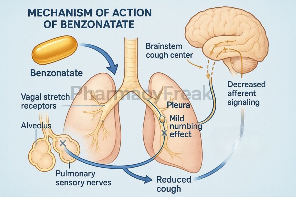 Benzonatate pharmacology