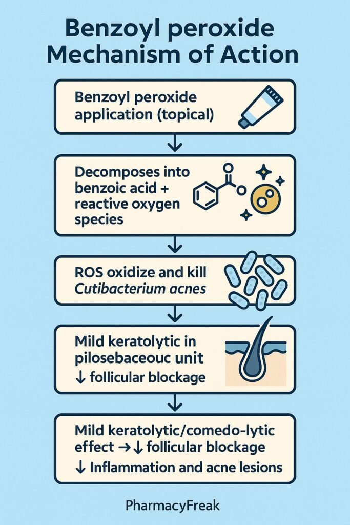 Stepwise mechanism of action of Benzoyl Peroxide