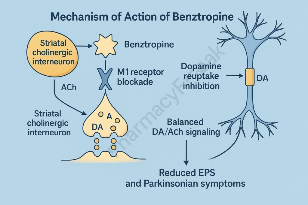 Mechanism of action of Benztropine