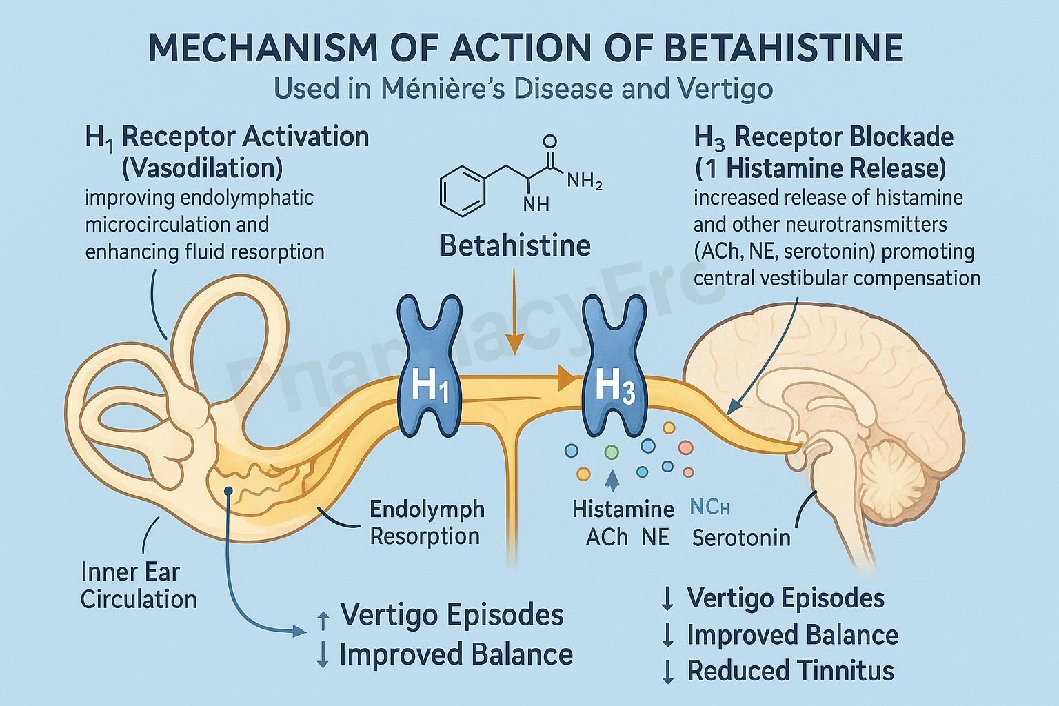 MOA of Betahistine