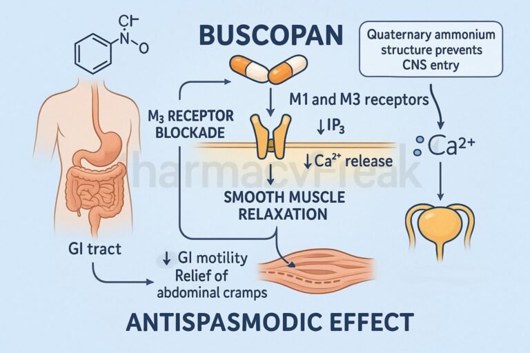 MOA of Buscopan