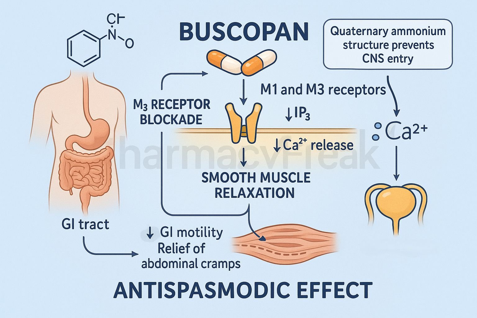 MOA of Buscopan