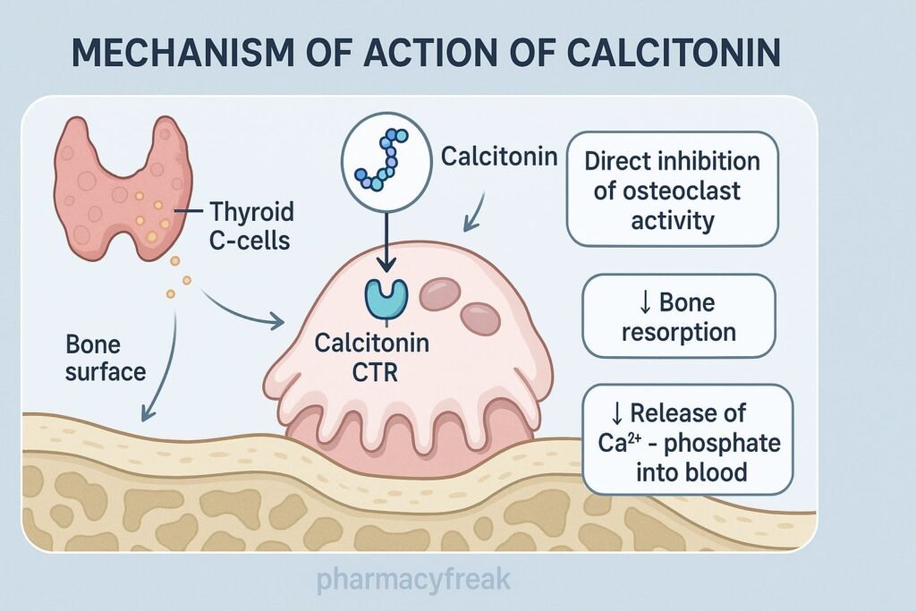 Mechanism of action of Calcitonin