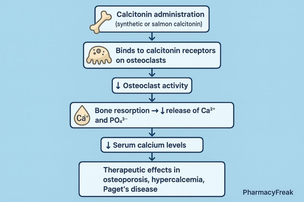 Stepwise mechanism of action of Calcitonin