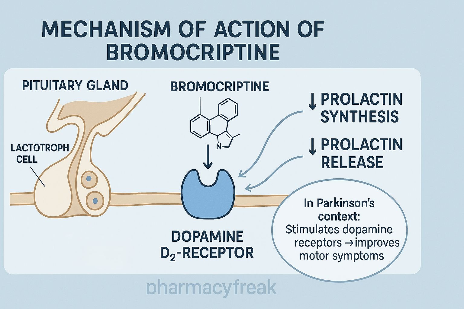 MOA of Bromocriptine