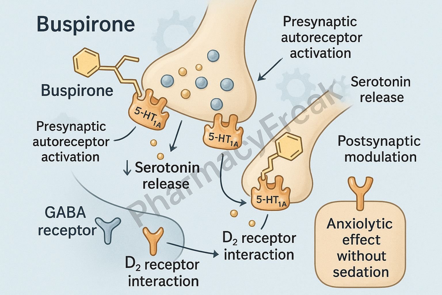MOA of Buspirone