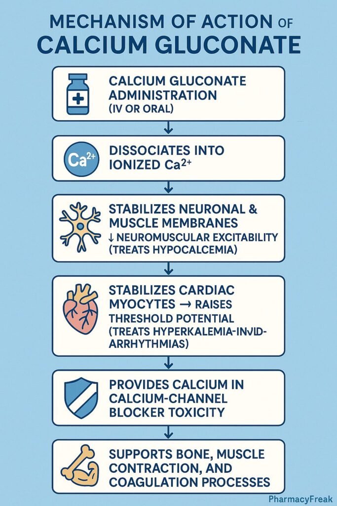 Stepwise mechanism of action of Calcium Gluconate