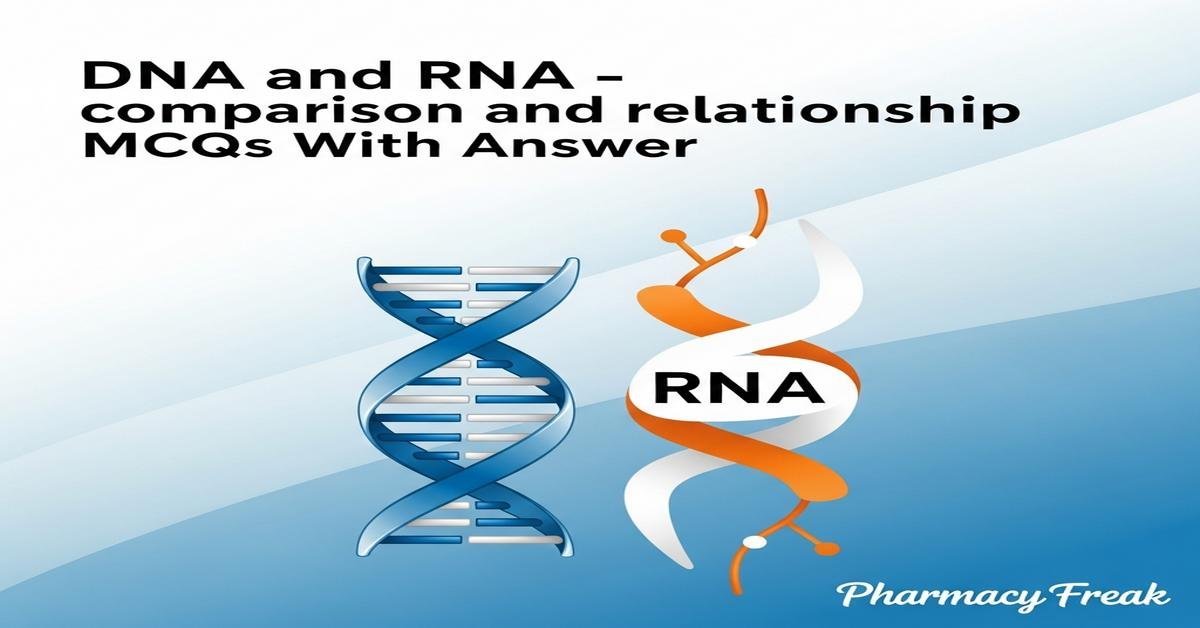 DNA and RNA – comparison and relationship MCQs With Answer