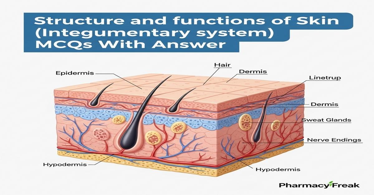 Structure and functions of skin (integumentary system) MCQs With Answer