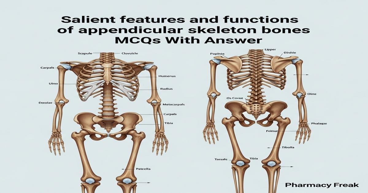Salient features and functions of appendicular skeleton bones MCQs With Answer