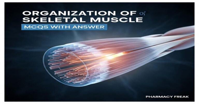 Organization of skeletal muscle MCQs With Answer