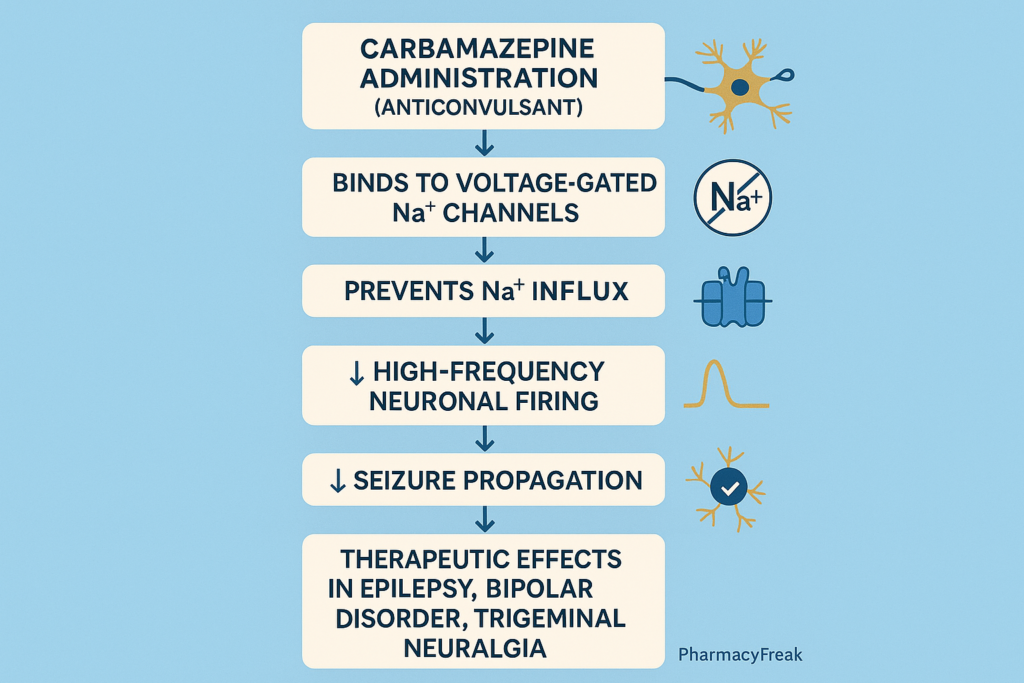 Stepwise mechanism of action of Carbamazepine